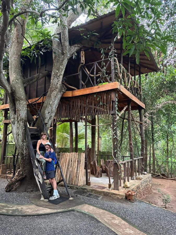 Green Park Safari House & Eco Tree House Udawalawe Ngoại thất bức ảnh