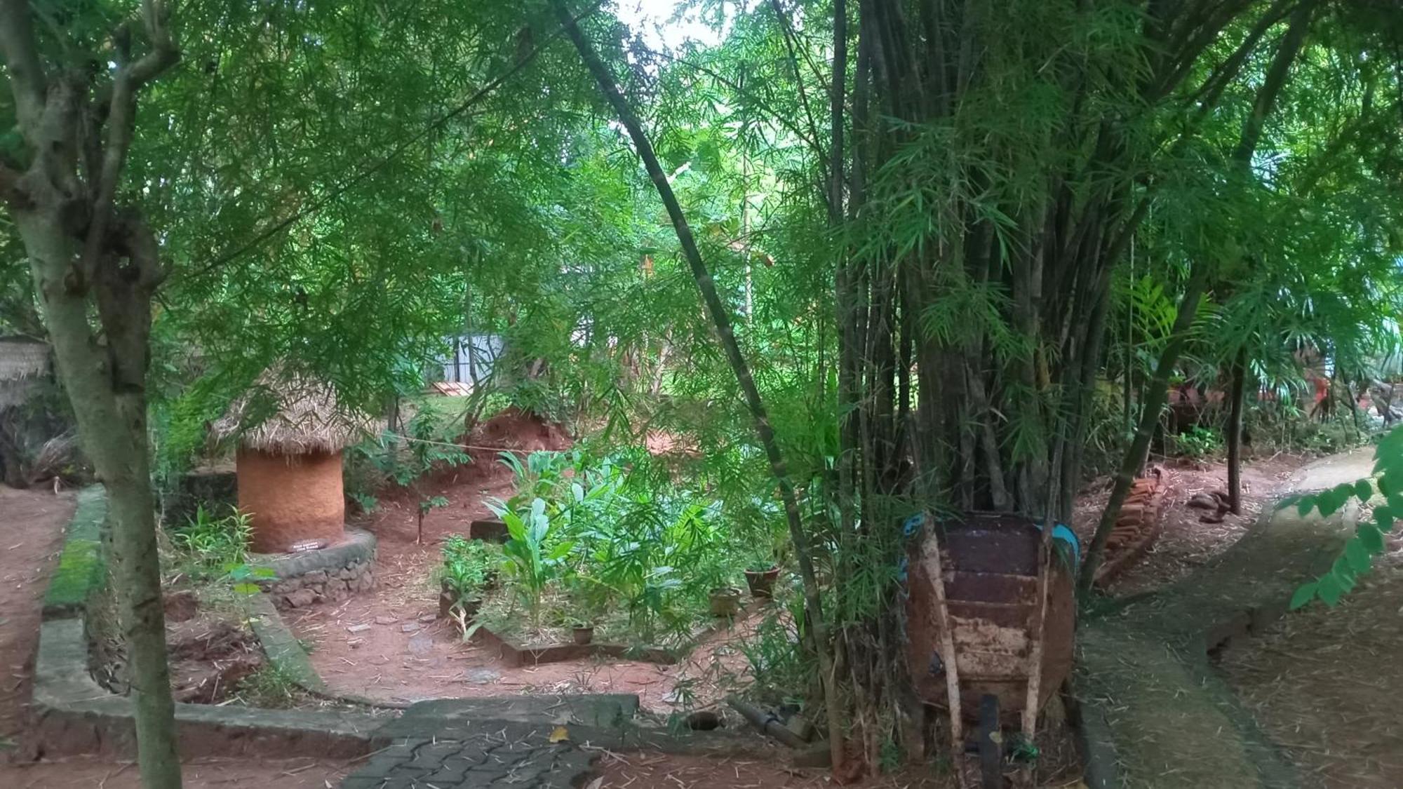 Green Park Safari House & Eco Tree House Udawalawe Ngoại thất bức ảnh