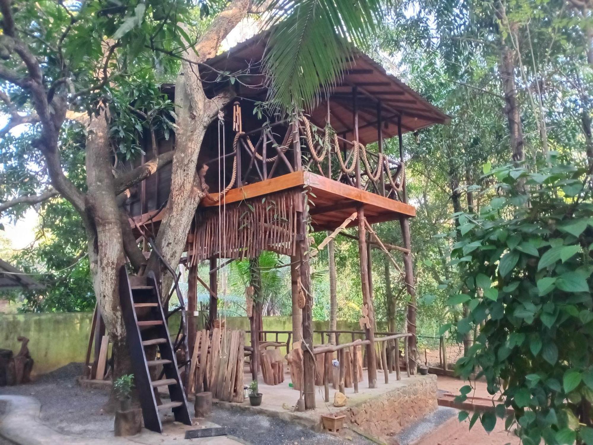 Green Park Safari House & Eco Tree House Udawalawe Ngoại thất bức ảnh