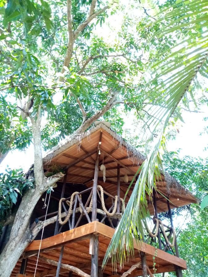 Green Park Safari House & Eco Tree House Udawalawe Ngoại thất bức ảnh